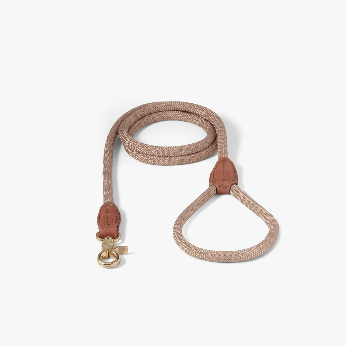 Premium nylon dog leash with elegant leather accents