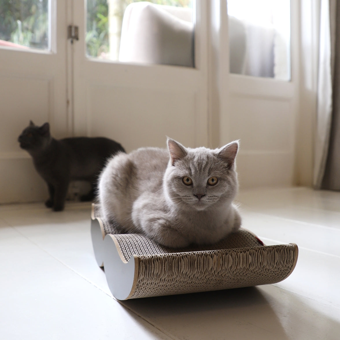 Durable recycled cardboard scratching furniture for small cats