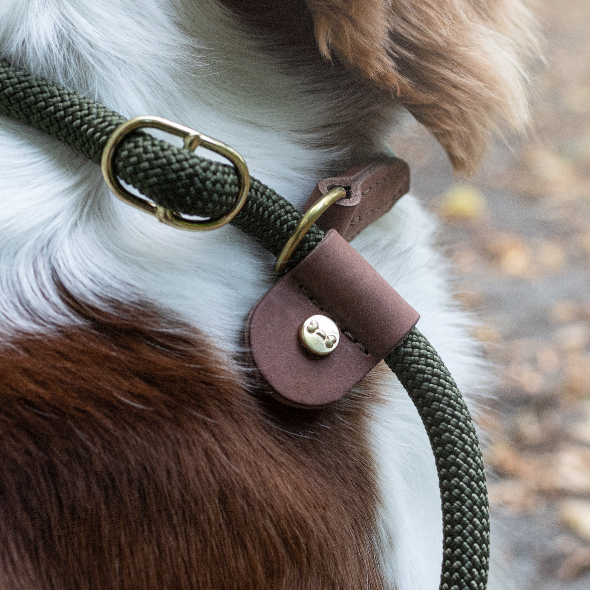 Adjustable dog collar and leash set