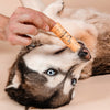 Fragrance-free nose balm for dogs with sensitive skin