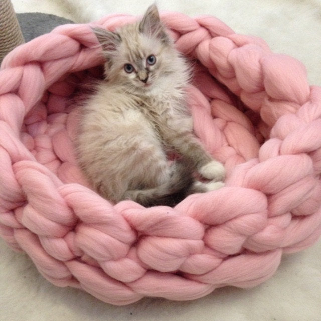Modern knitted pet bed 