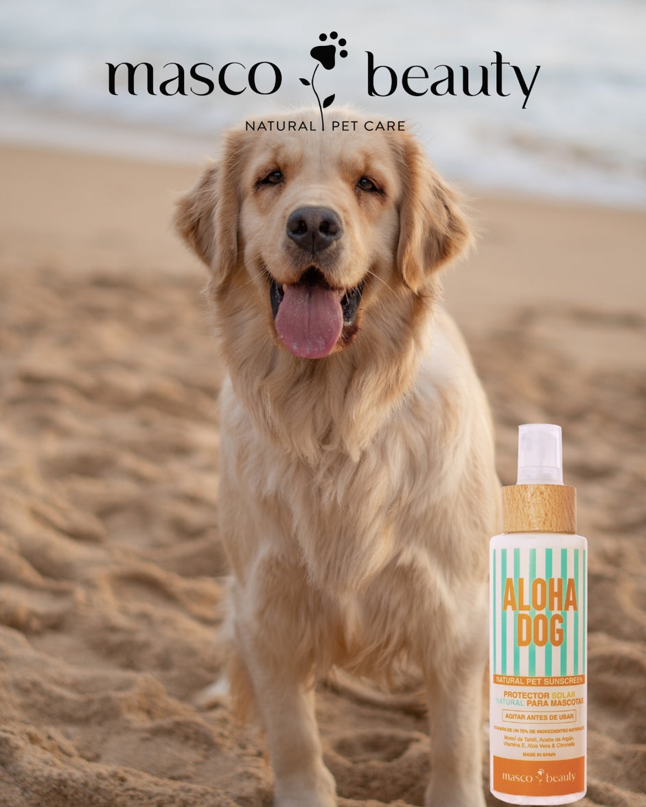Aloha Dog sunblock mist with aloe and argan oil