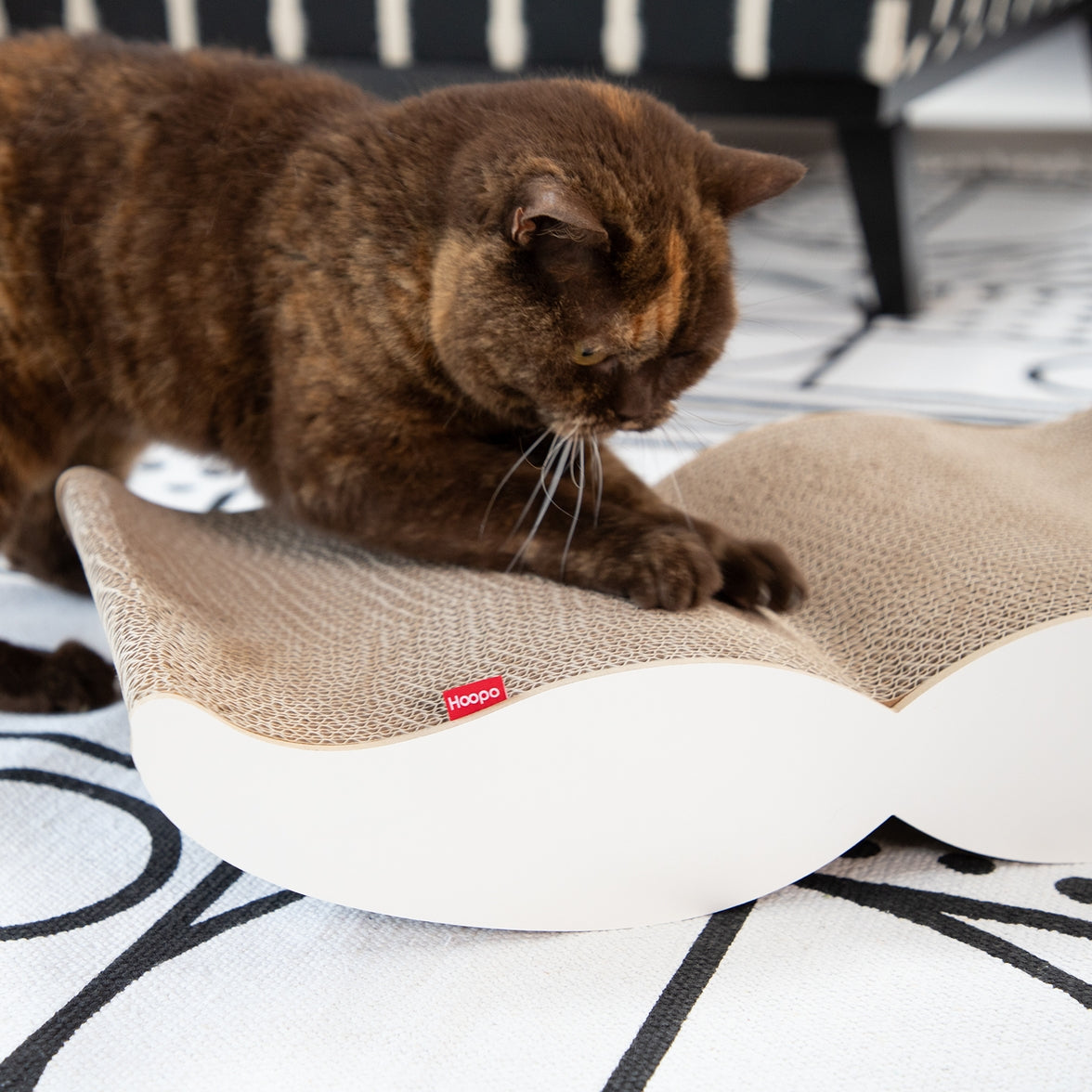 High-quality recycled cardboard cat scratcher with design twist