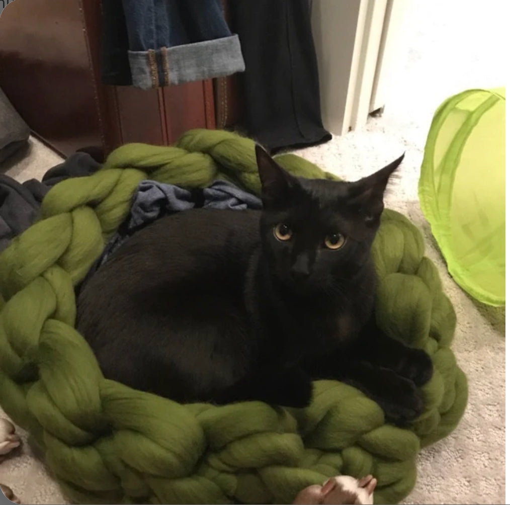 Handmade wool pet bed