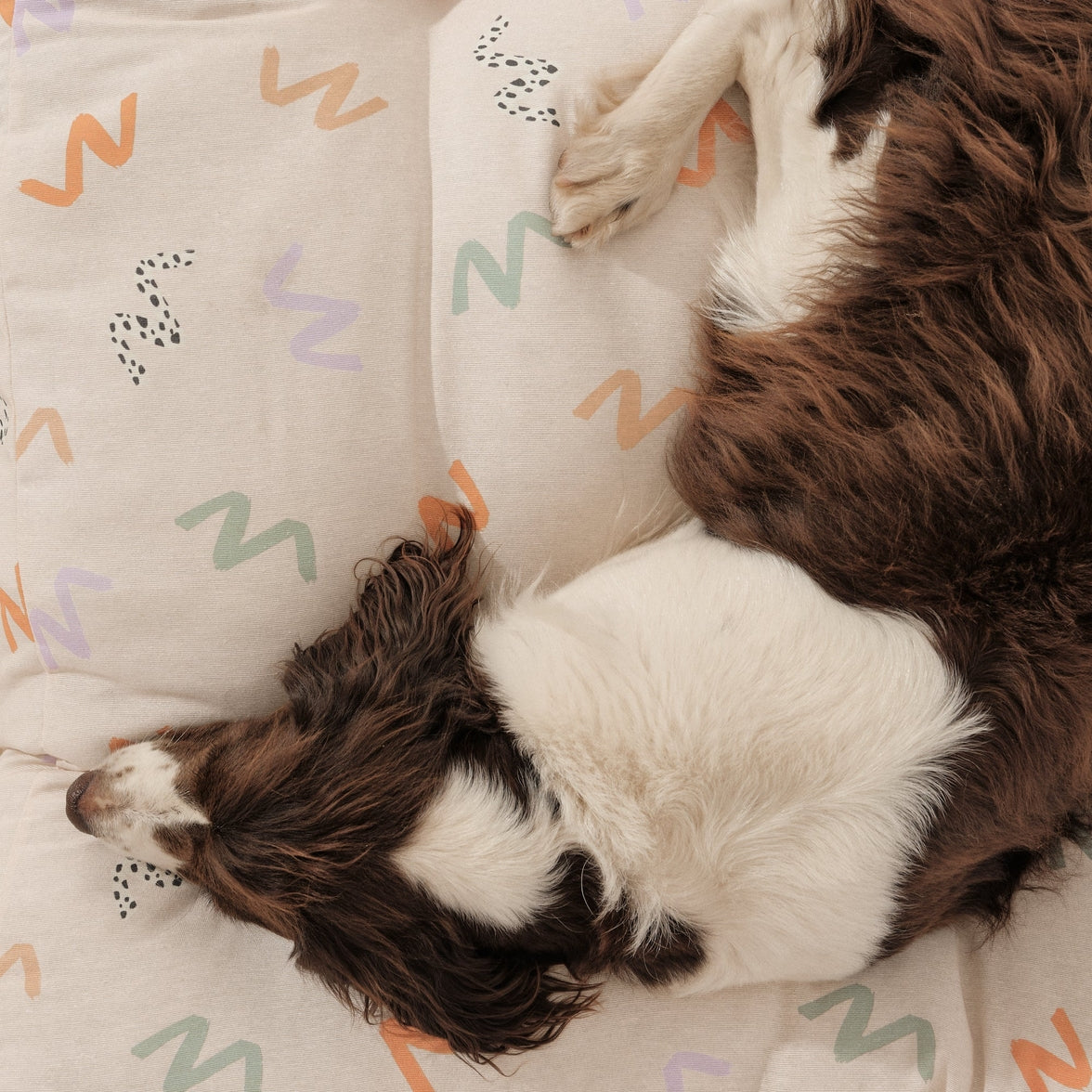 Durable and cozy cotton dog bed for pets of all sizes