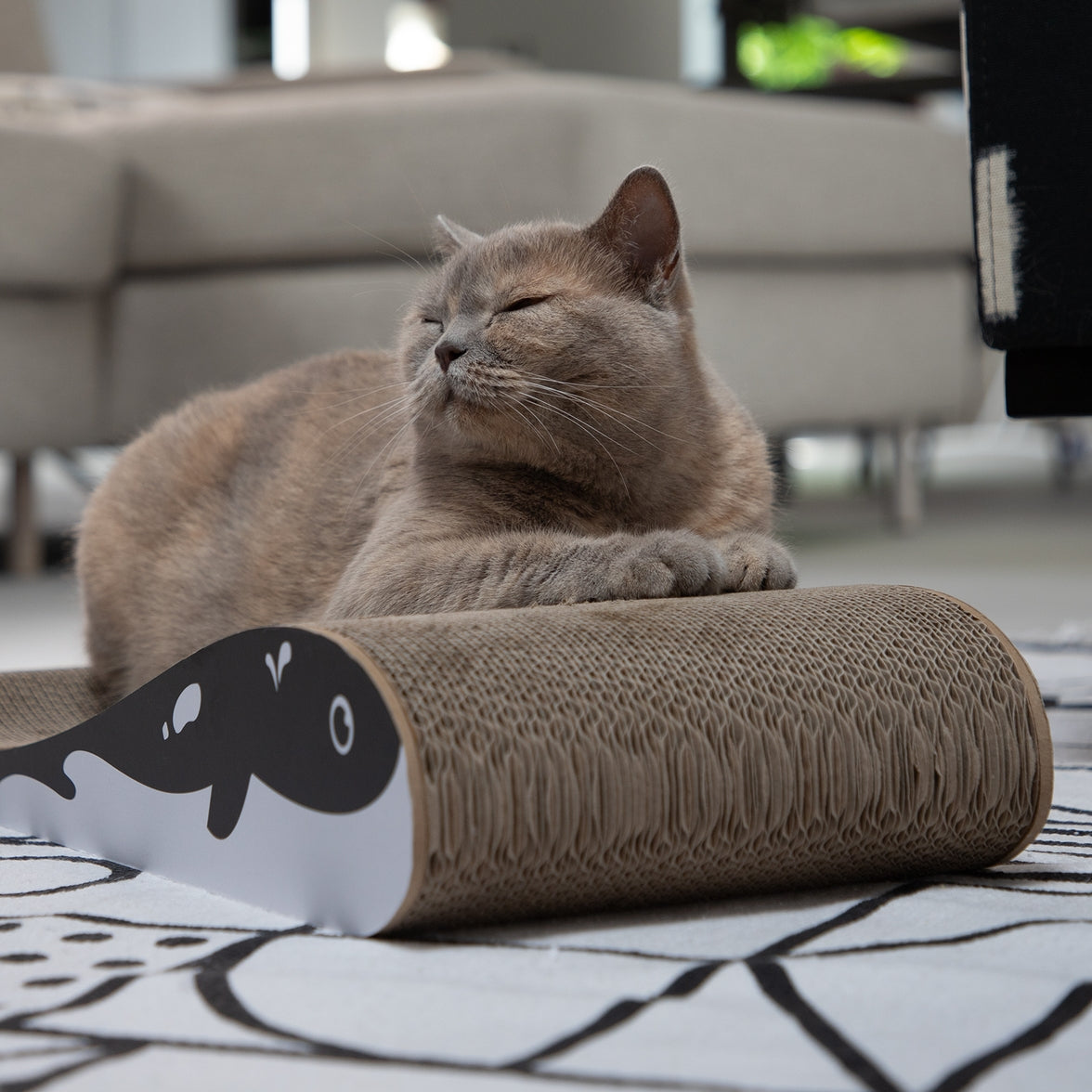 Wally Scratching Pad for healthy nail care