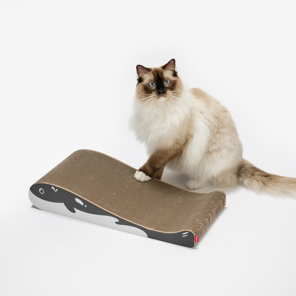 High-quality cardboard scratch pad protecting furniture