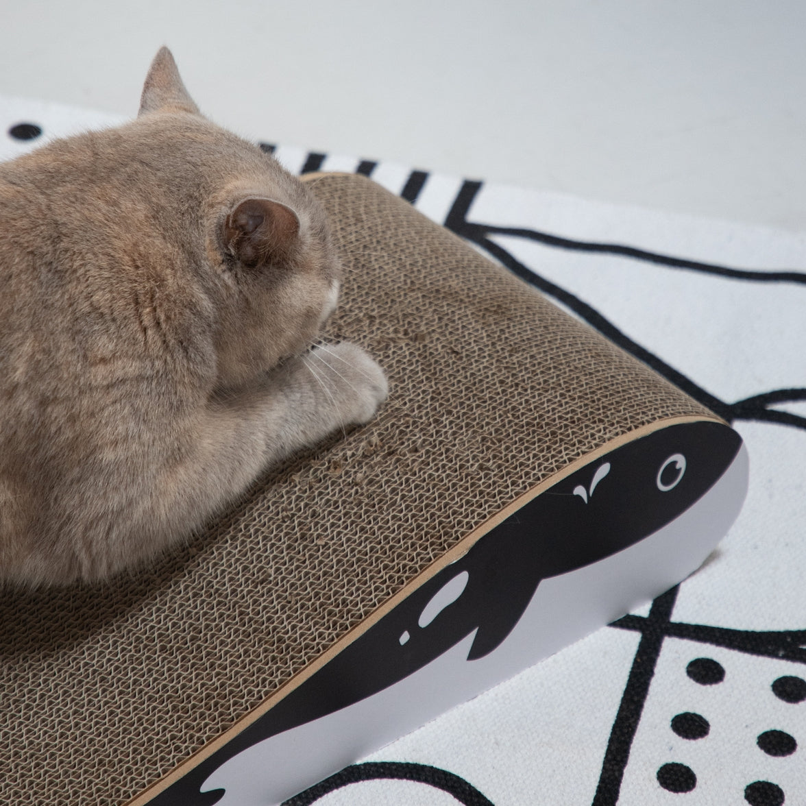 Stylish cat furniture for indoor scratching