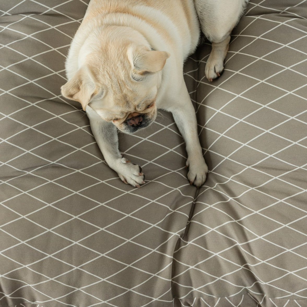 Washable pet bed for dogs