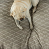 Washable pet bed for dogs