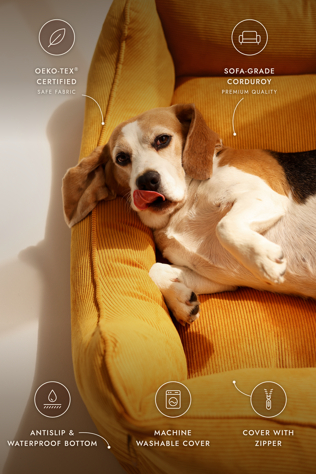Cama de Sofá para Cães com Fecho CORY da FOFFINY