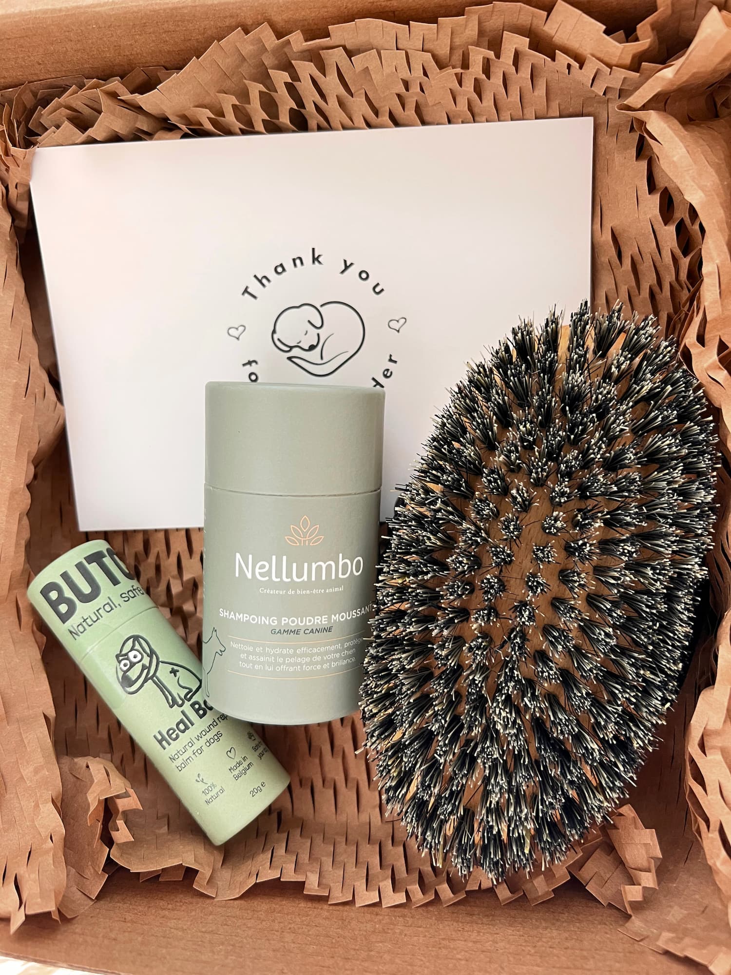 A Caixa de Presentes Ecológica para Amantes de Cães: Cuidados Naturais & Bem-Estar 