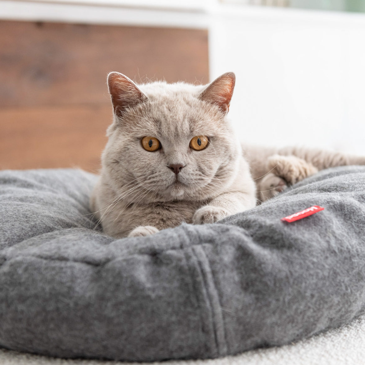 Machine washable stylish cat bed for modern homes