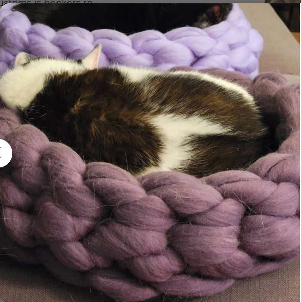chunky pet bed for cats 