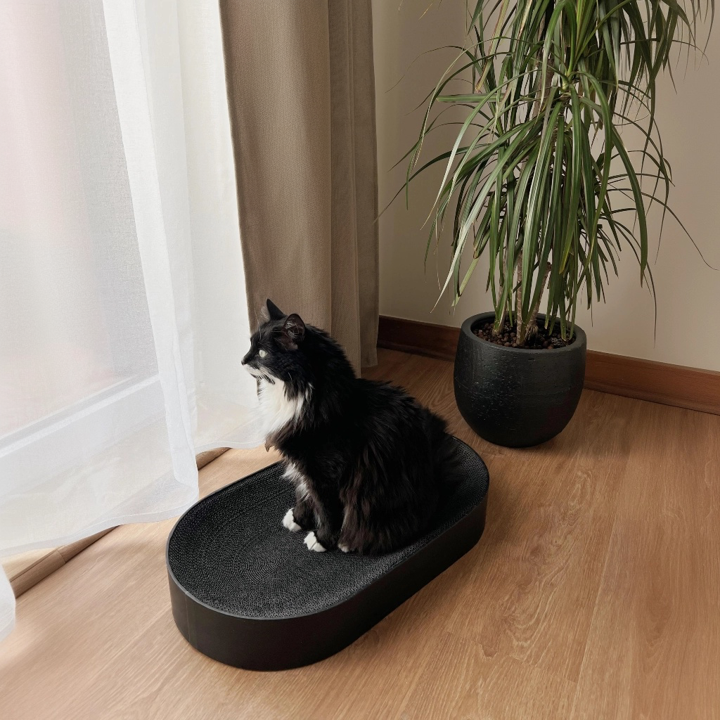 Recyclable scratch bed for cats