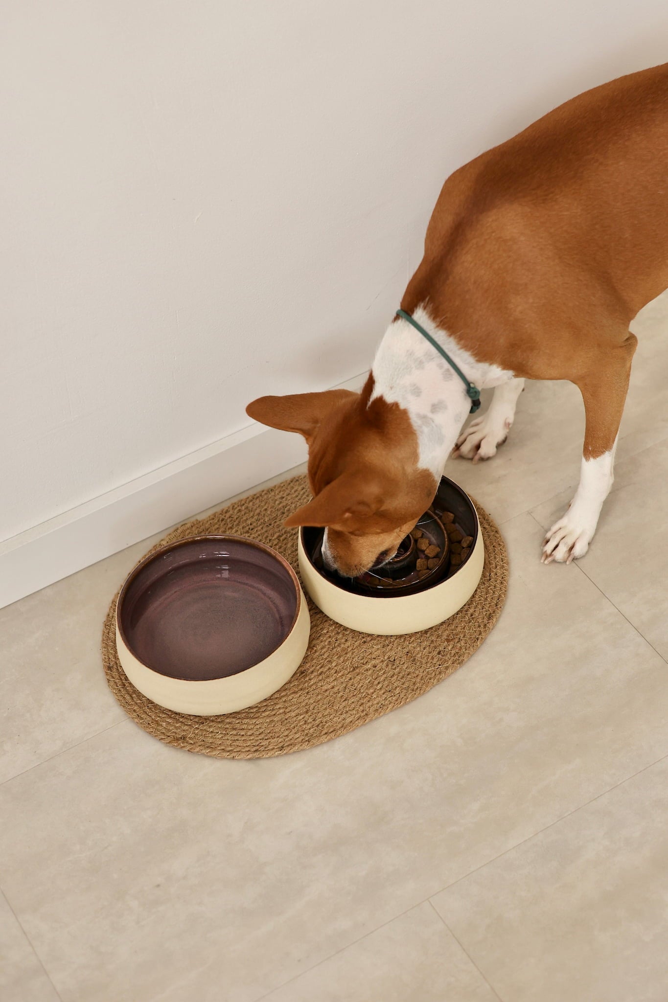 Stoneware Pet Bowl, Dishwasher & Microwave Safe