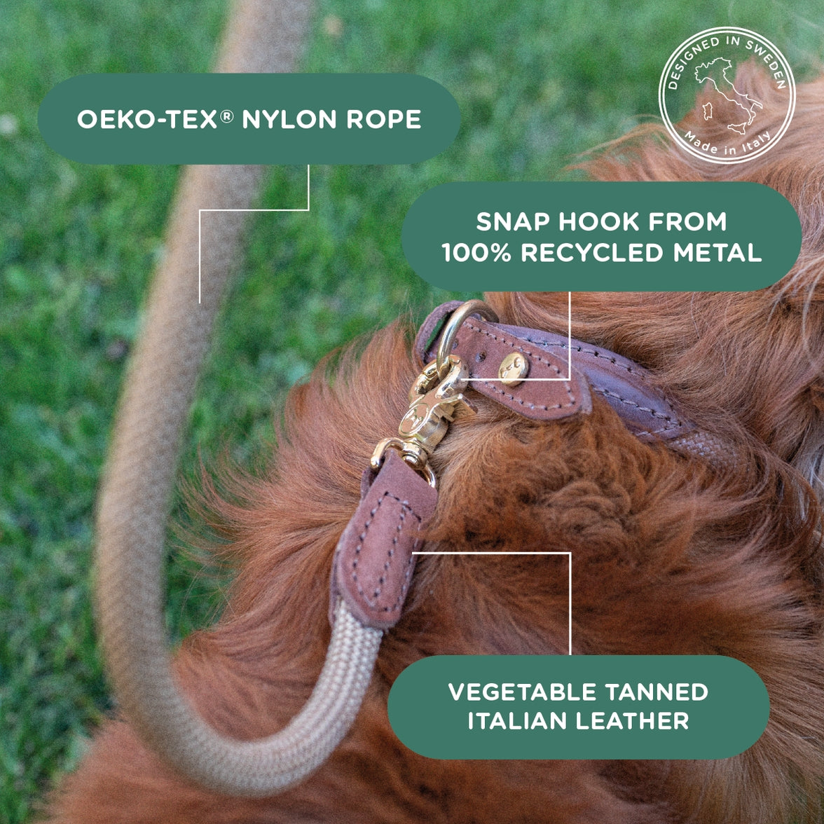 Luxurious Torekov Golden Sand dog leash with brass fittings