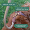 Luxurious Torekov Golden Sand dog leash with brass fittings