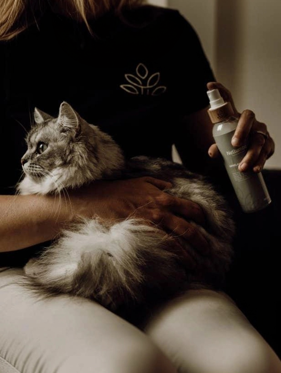 Pet Shine Detangler spray for dogs and cats