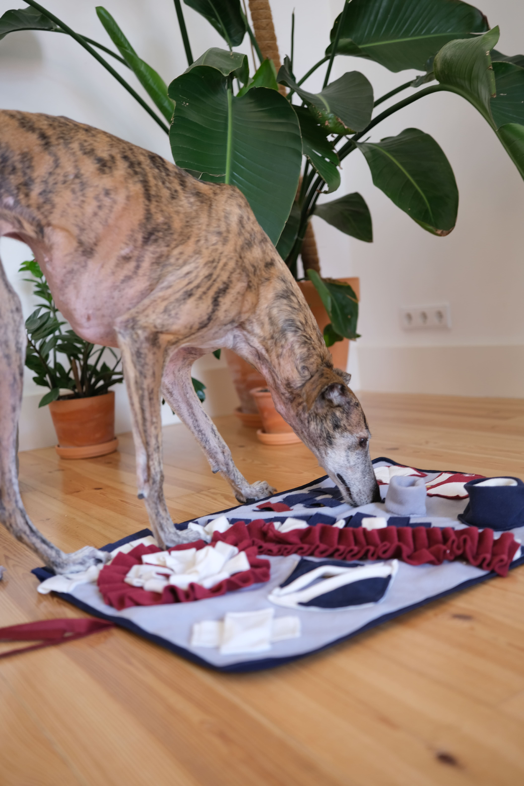 Large enrichment mat with hidden treat pockets