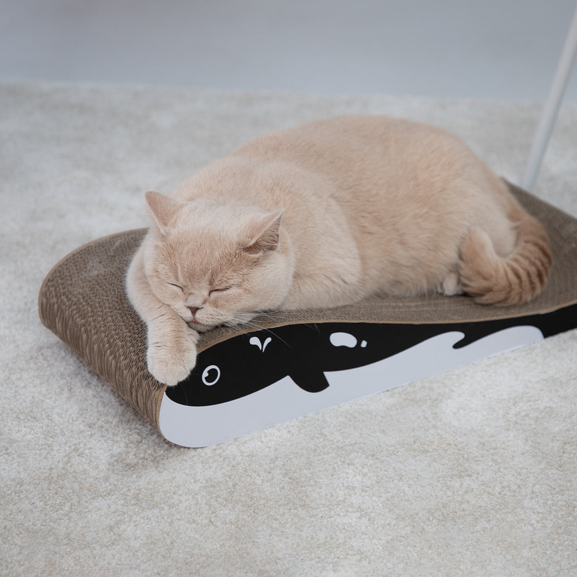 Durable cat scratching furniture with modern design