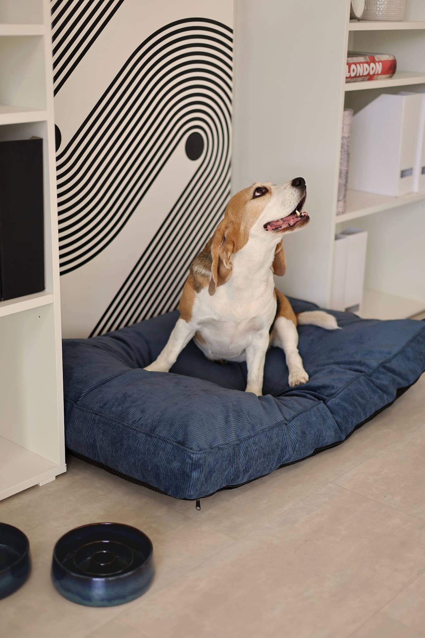 Stylish rectangular dog pillow bed by FOFFINY – premium comfort for pets