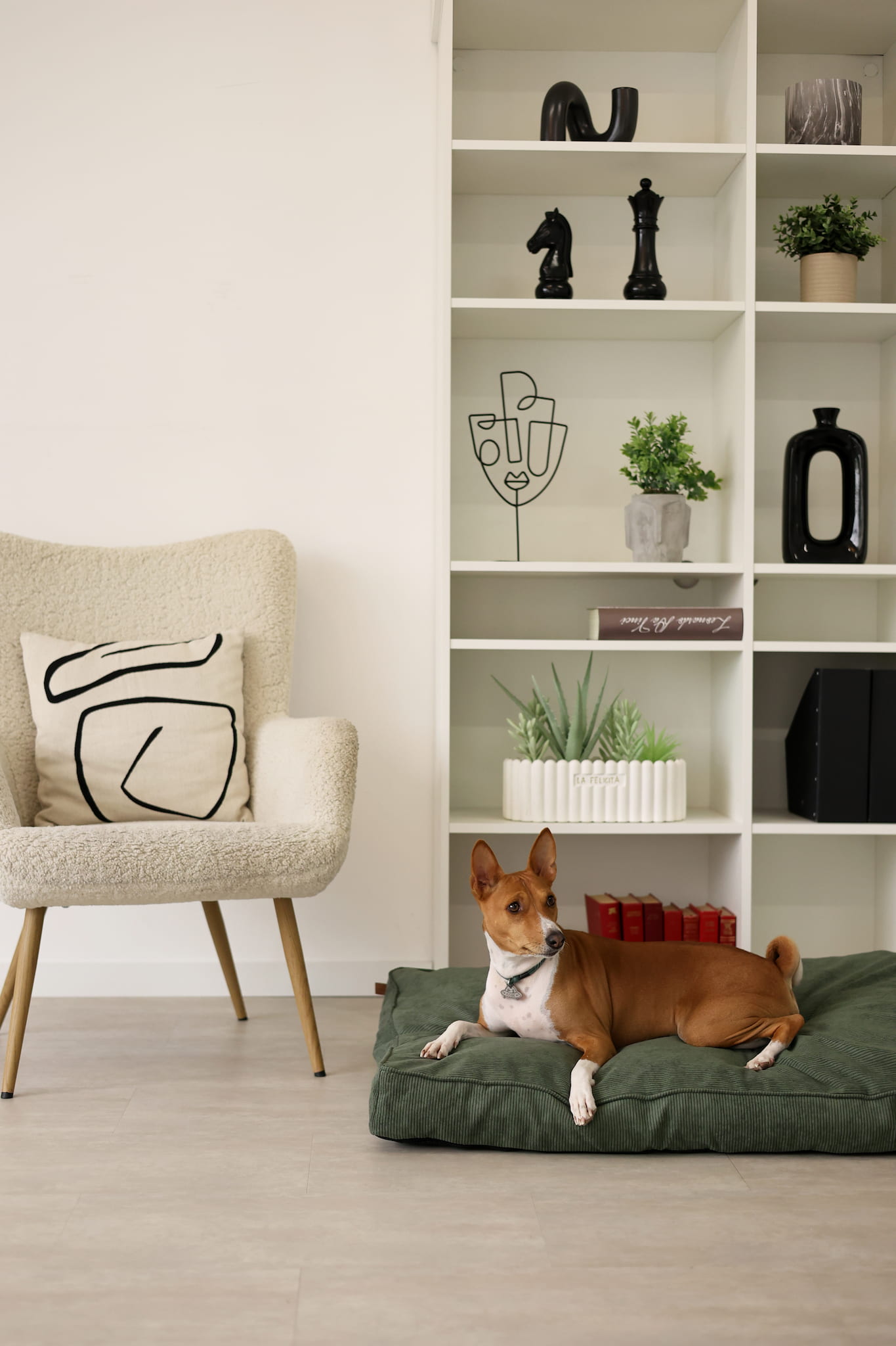 Dog lying on a green dog mattress bed in a living room with a bookshelf and chair.