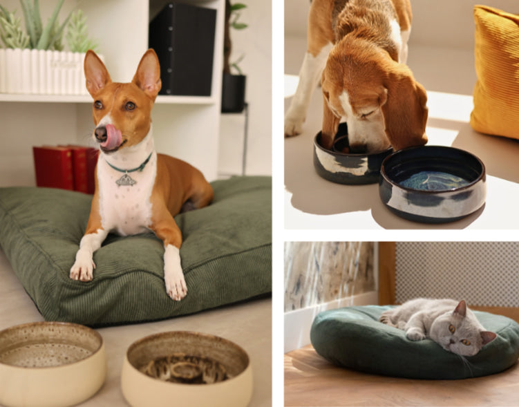 handmade ceramic pet bowls from Foffiny, Portuguese pet brand