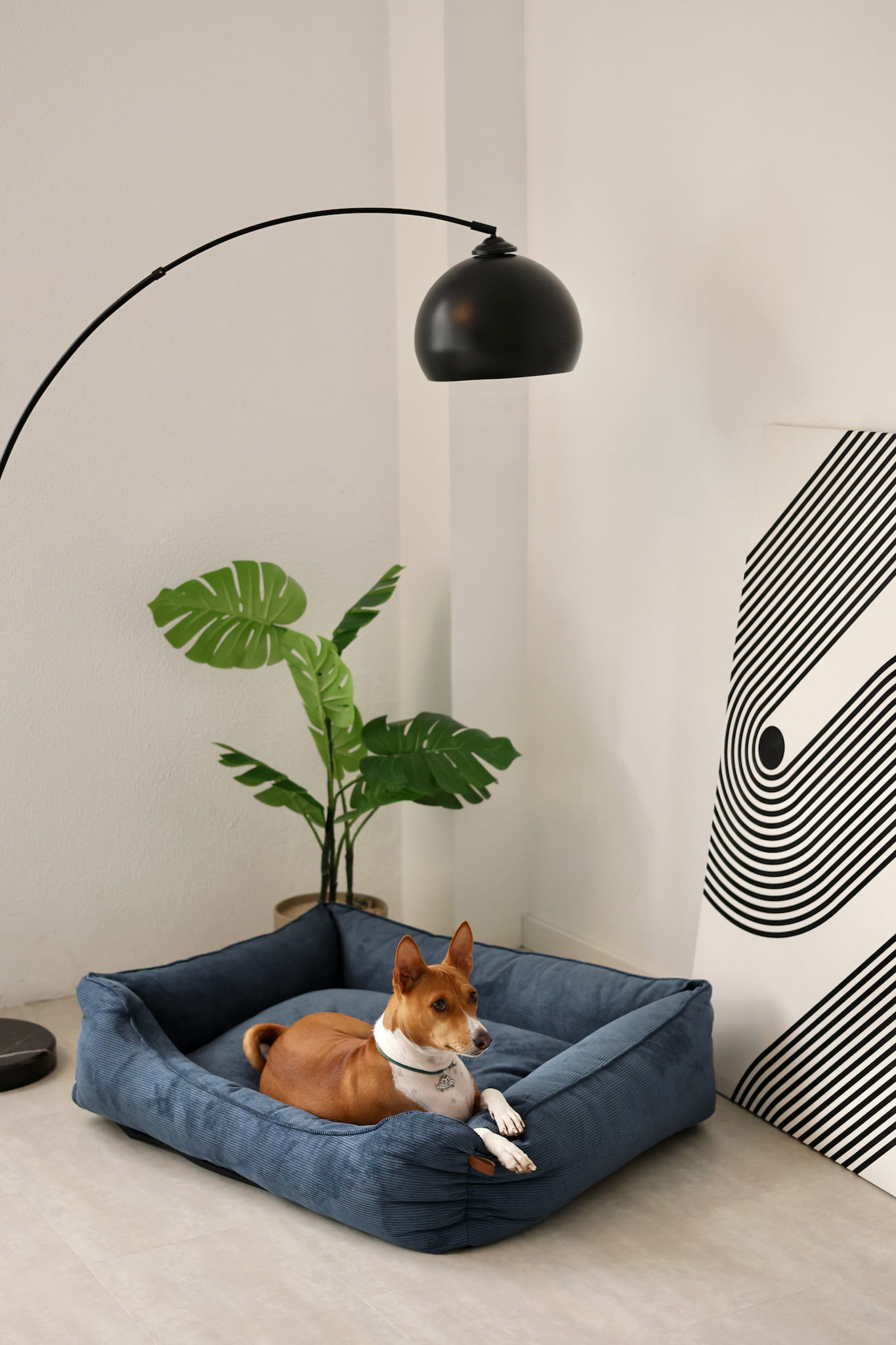 Indigo sofa dog bed styled beside a couch in a modern living room