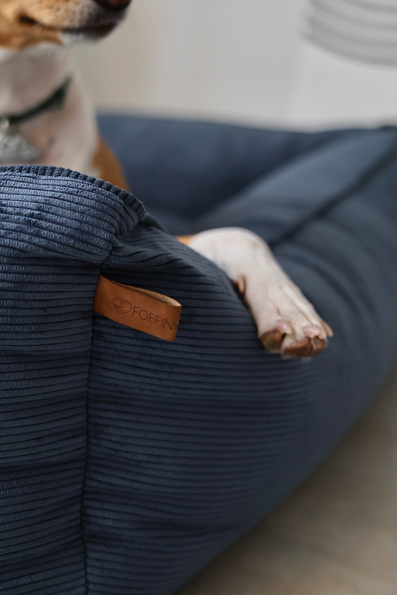 Dog resting in ergonomic side-sleep position on sofa dog bed
