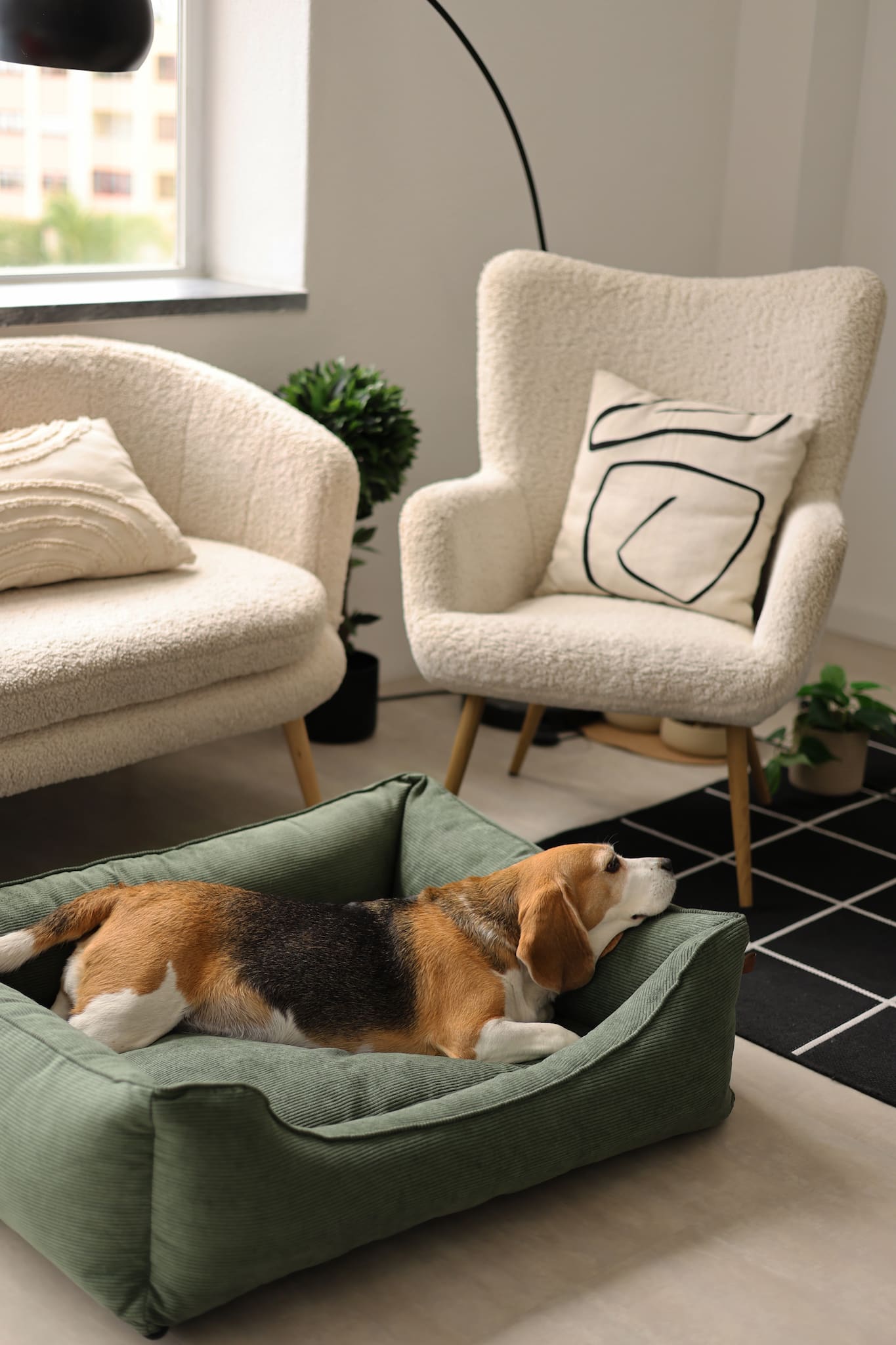 Luxury green dog bed
