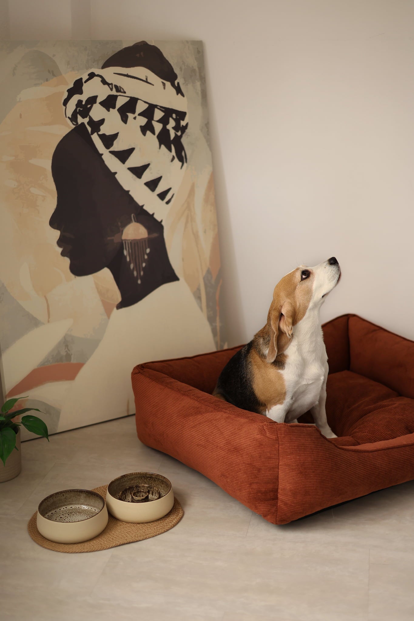 Couch dog bed styled next to a sofa in a modern living room