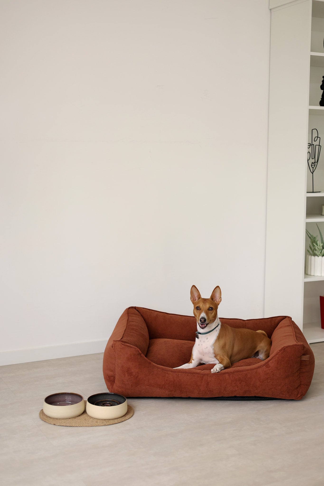 luxury large couch dog beds