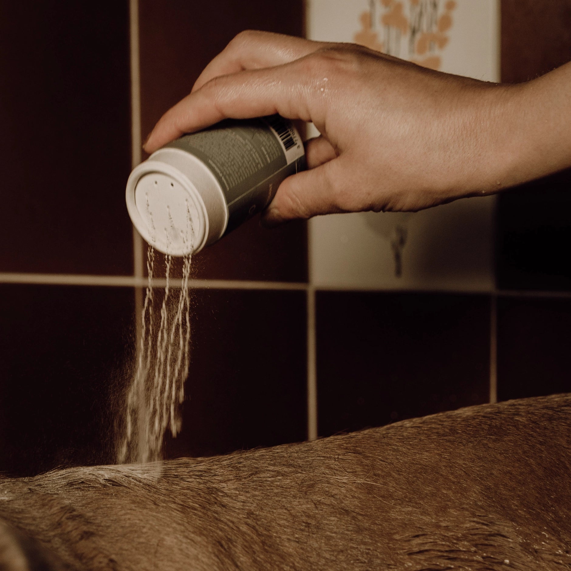Foaming powder dog shampoo bottle, highlighting the 100% natural and zero-waste dog grooming solution.