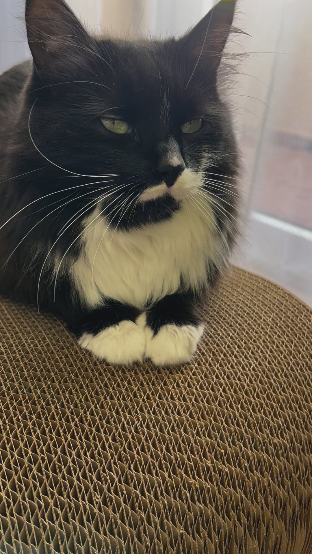 Foffiny