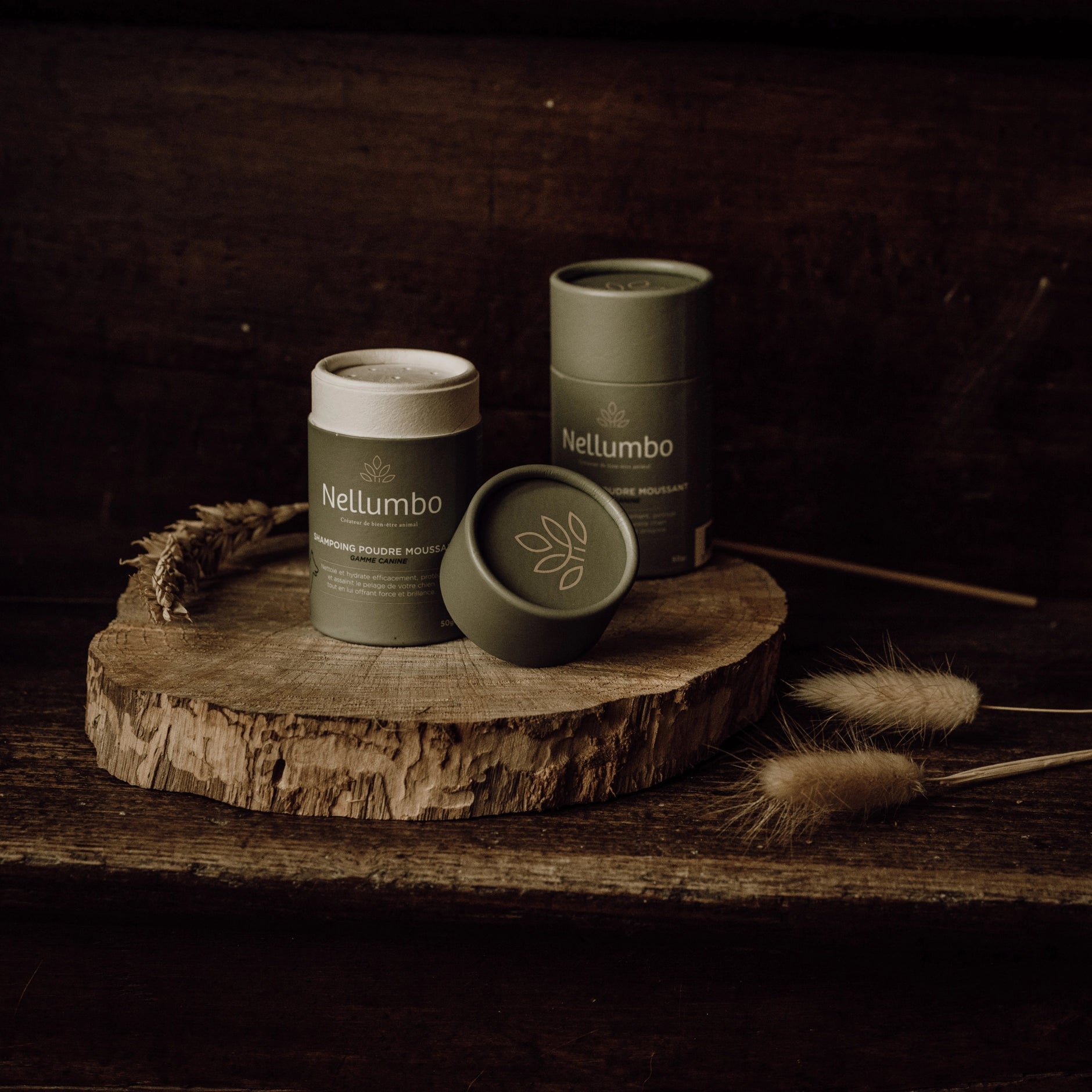 ideal for a sensitive skin dog shampoo and natural active ingredients.